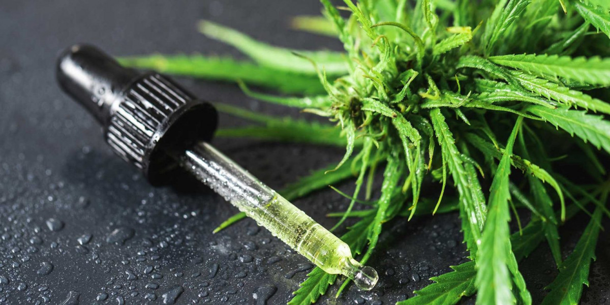 Le CBD Niort : pourquoi ce produit naturel séduit de plus en plus d’habitants ?