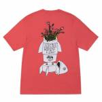 stussy apperal Profile Picture