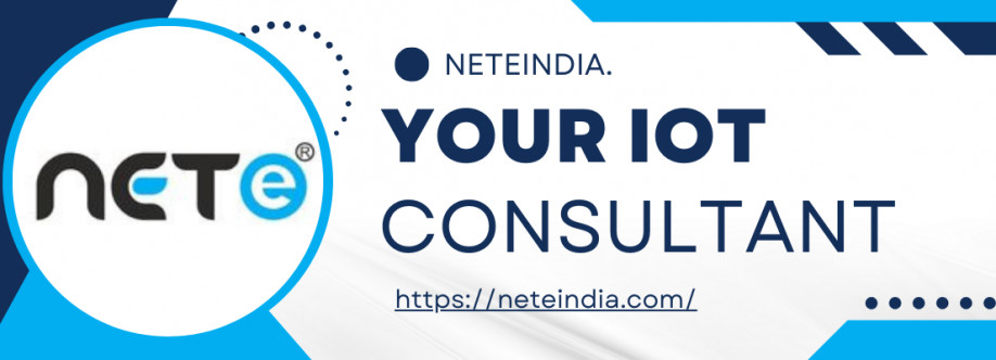 Nete India Cover Image