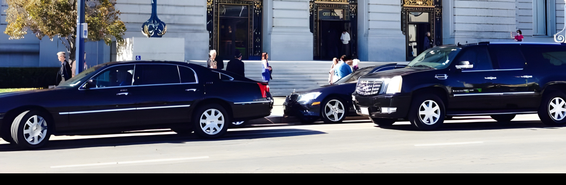 Elite Limousine Inc Cover Image