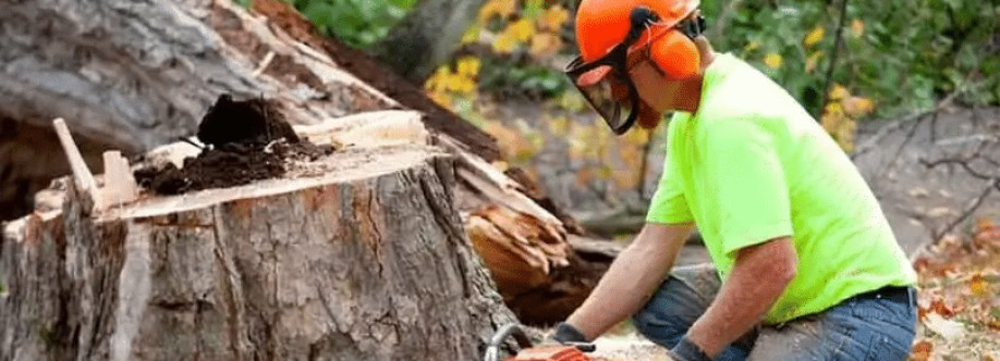 Tree Removal Cover Image