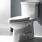 Toilet glacier Profile Picture