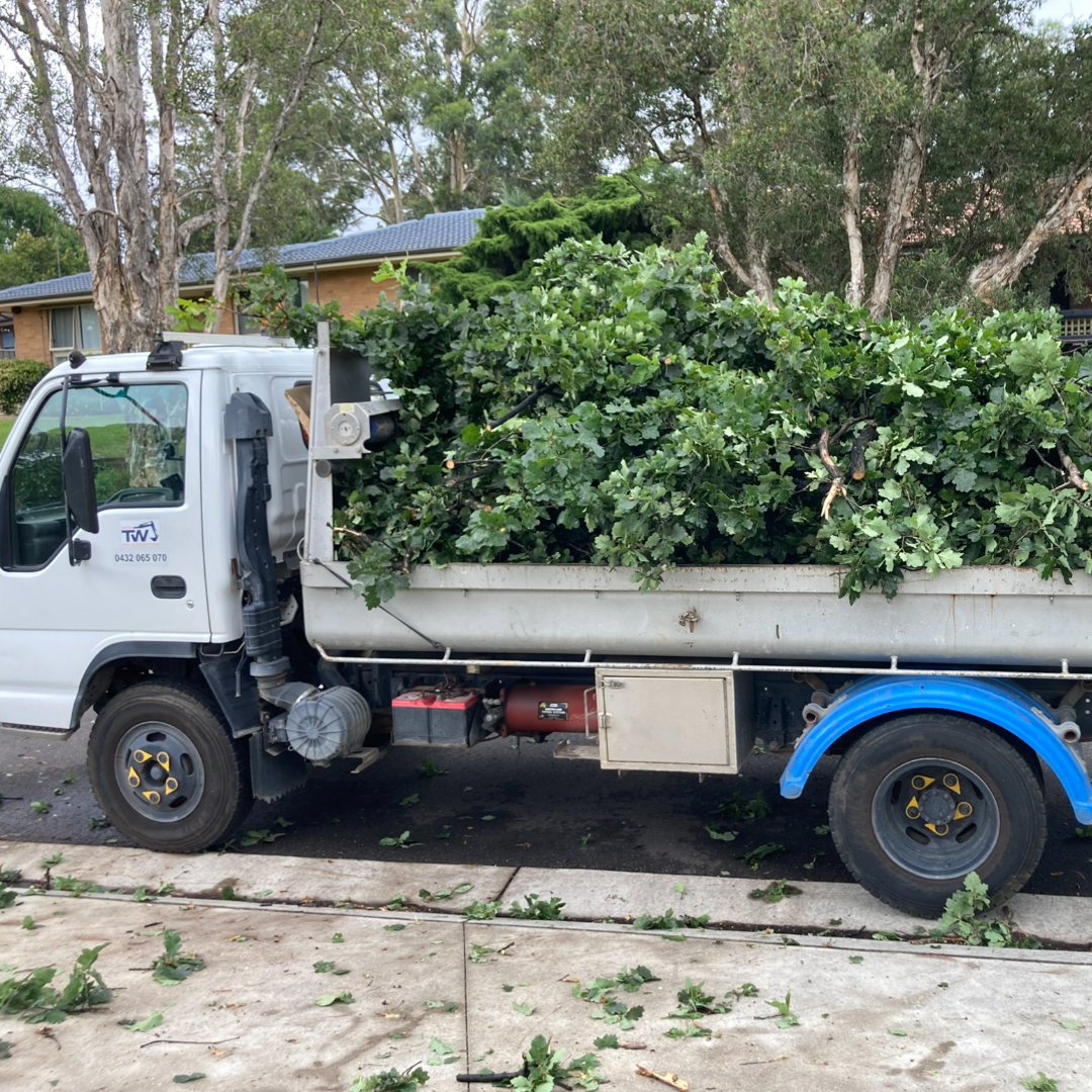 Greenwaste Removal - TW Mini Excavations