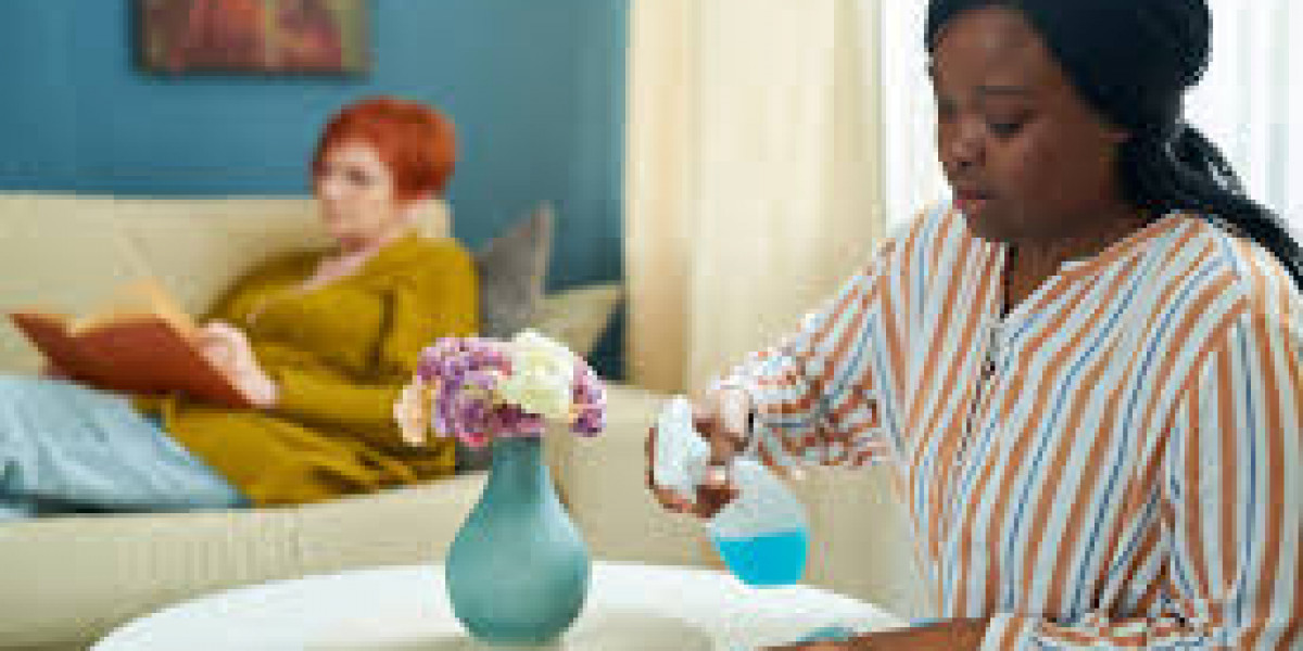 Light Housekeeping Services Tampa, FL