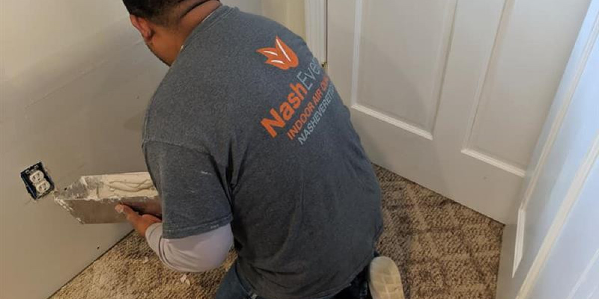 Black Mold Removal in Pemberton: Protect Your Family and Home