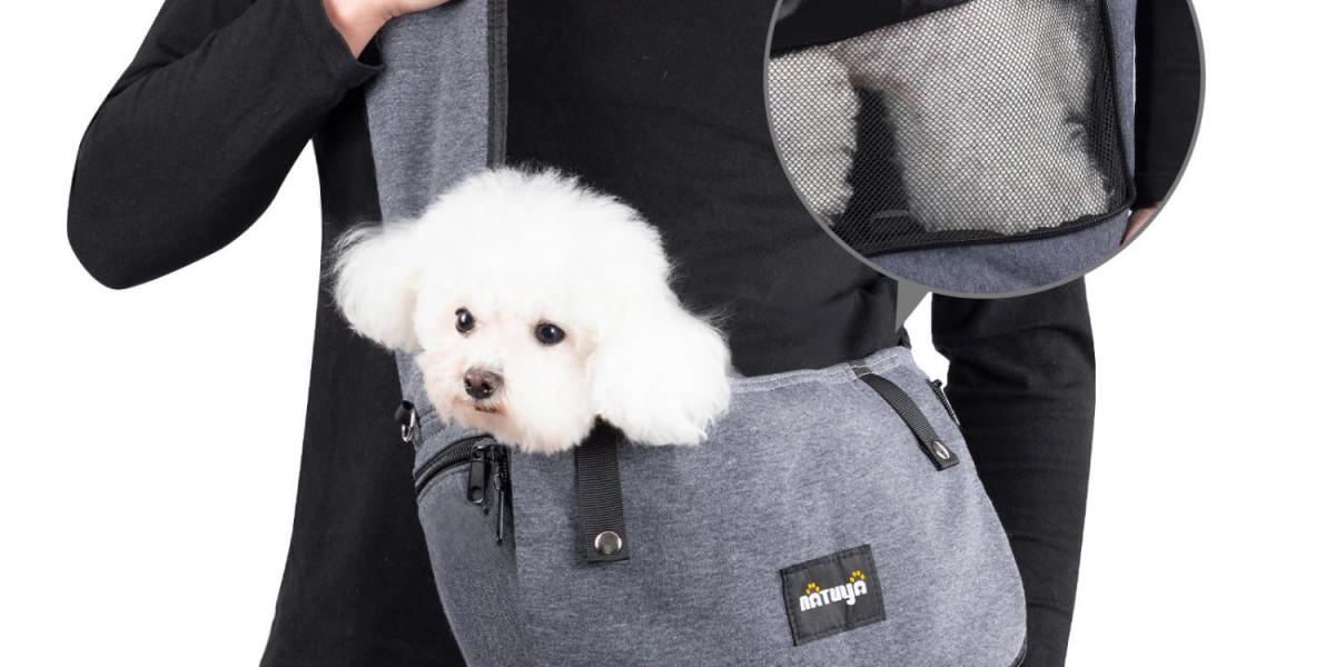 Casual and safe travel for your pet: The Ultimate Guide