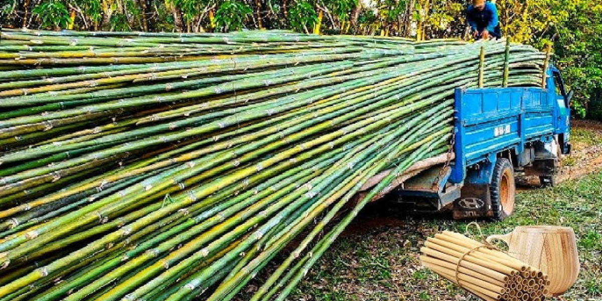 Sugar Cane Processing Plant Report 2025- Detailed Project Cost and Setup Requirements