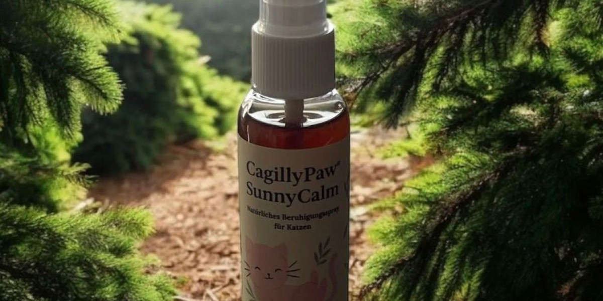 How to Keep Cats Calm and Stress-Free in Everyday Life – With Knowledge, Care, and Natural Support