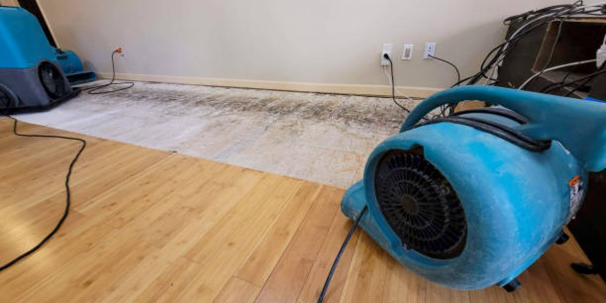 Why Professional Water Damage Mitigation & Restoration Matters