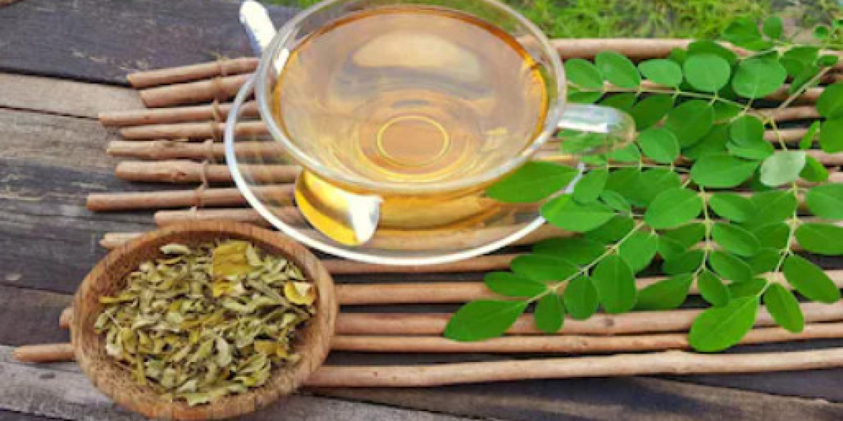 The Expanding Network of Moringa Tea Suppliers India in Global Wellness