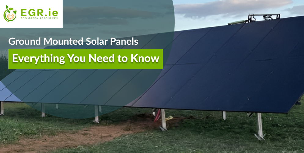 Ground Mounted Solar Panels: Everything You Need to Know