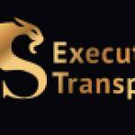 VLS Executive Transportation LLC Profile Picture