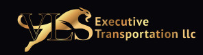 VLS Executive Transportation LLC Profile Picture