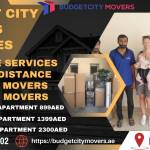 Budget City Movers Dubai Profile Picture