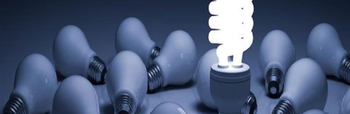 The Electrician Cover Image