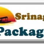 Srinagar Package Profile Picture
