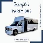 Brampton Limousine Profile Picture