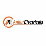 Ankur Electricals Profile Picture