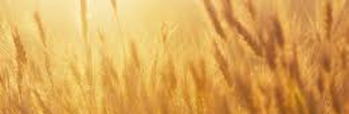 Magic Pop Machine Cover Image