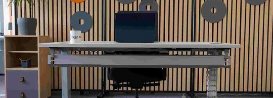 Ergo Desks Cover Image