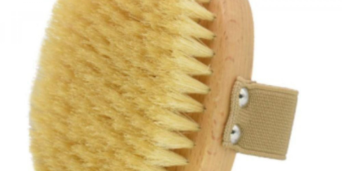 Pawtechpet Pet Brush: Simple Grooming, Effective Results