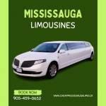 Mississauga Party Bus Profile Picture