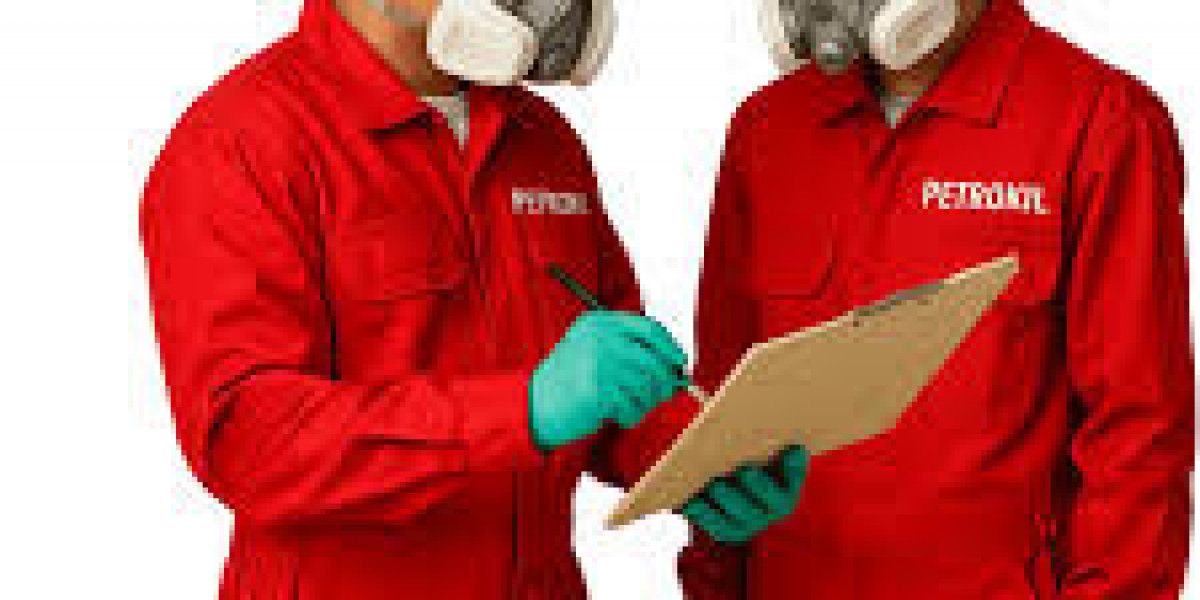 Perlindungan Total dari Serangan Rayap dengan Jasa Anti Rayap Profesional