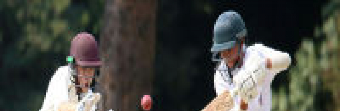 cricket games Cover Image