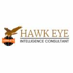 Hawk Eye Security and Detective Agency Pvt Ltd Profile Picture