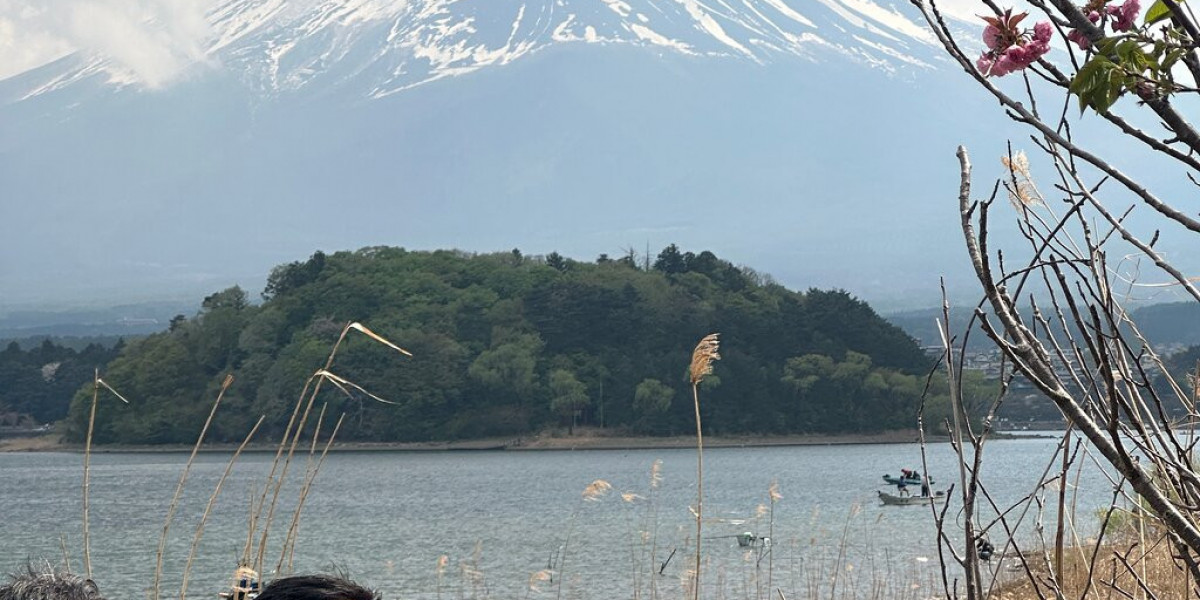 Discover the Flexibility of a Flexible Mount Fuji Private Excursion from Tokyo