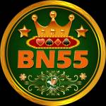Bn55 Game Profile Picture