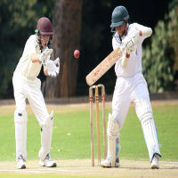 cricket games Profile Picture