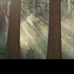 jhfjg KHvjc Profile Picture