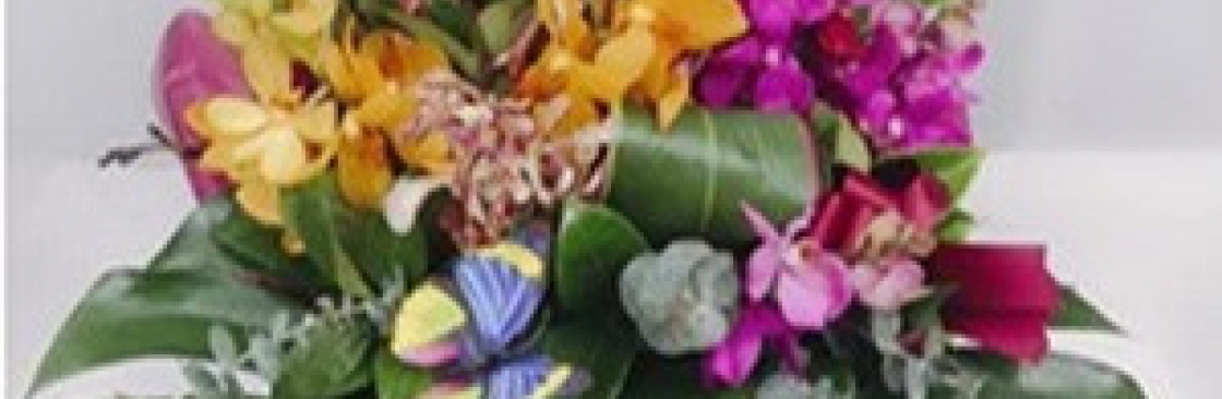 blossomof wyndham Cover Image