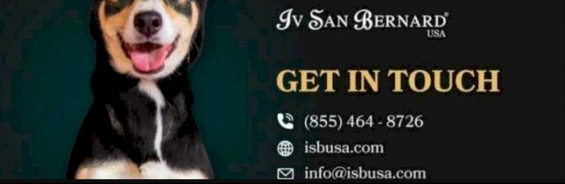 Iv San Bernard USA Cover Image