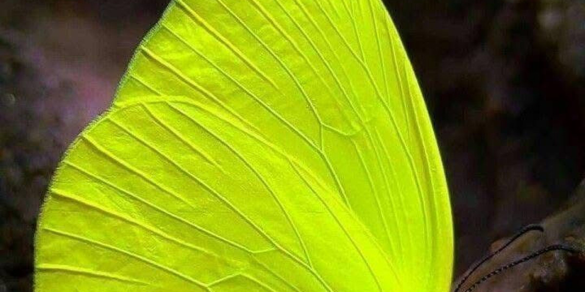 Marble Polishing Abrasives: The Key to a Flawless Marble Finish