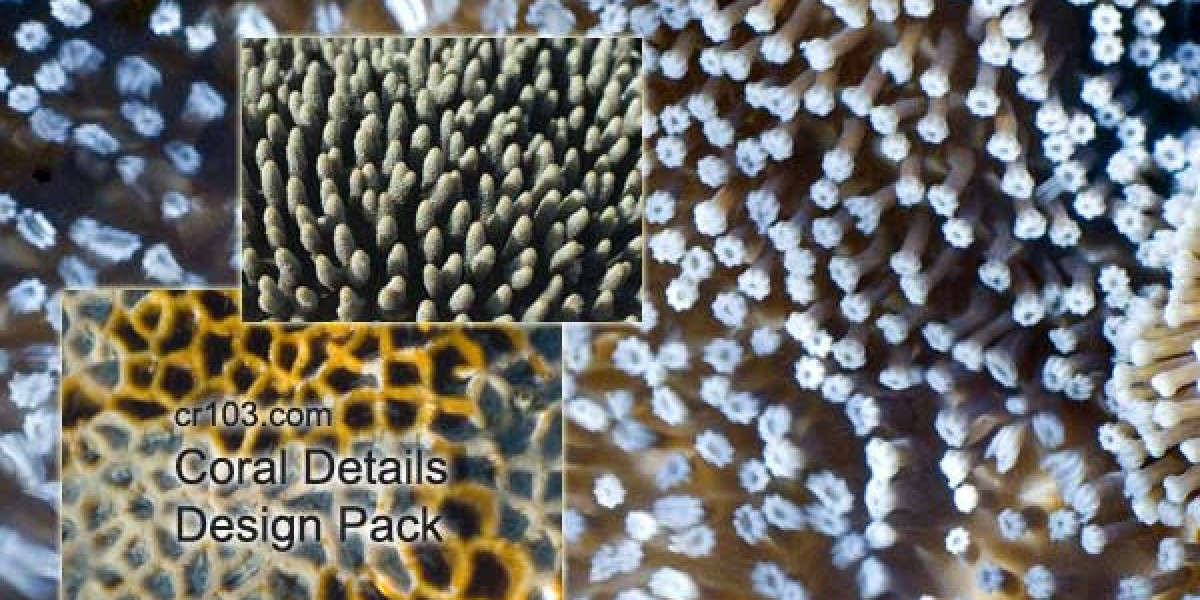 Woo Casino Official Website 300 NZD Bonus on Registration