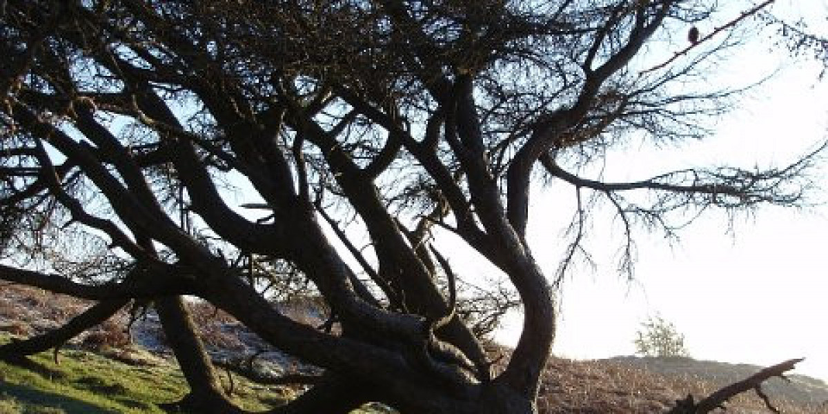 Best Online Casino for Aussies