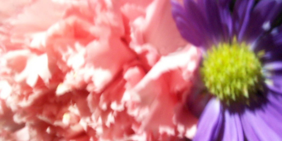 Meet the People Behind the Play