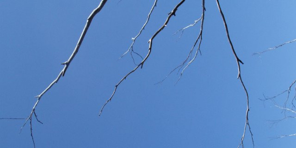 RocketPlay Online Casino Canada Play & Win Real Money