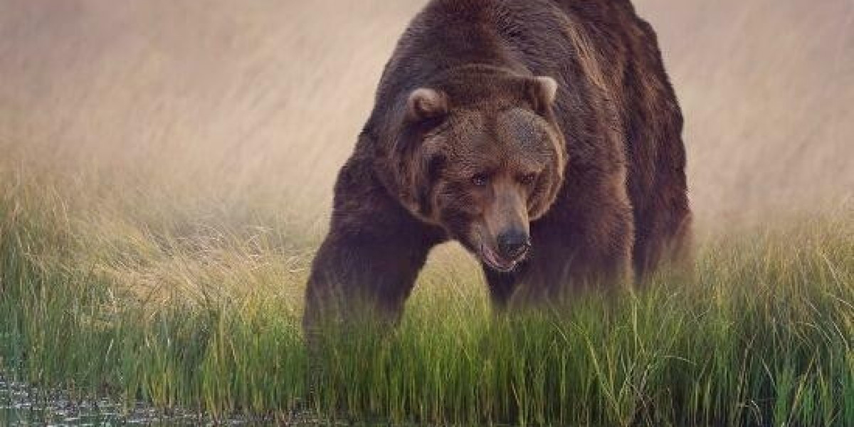 Gross Lease Explained: what Investors Need To Know