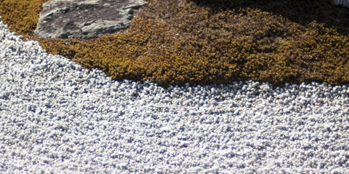 Safe & Rewarding Online Gaming USA