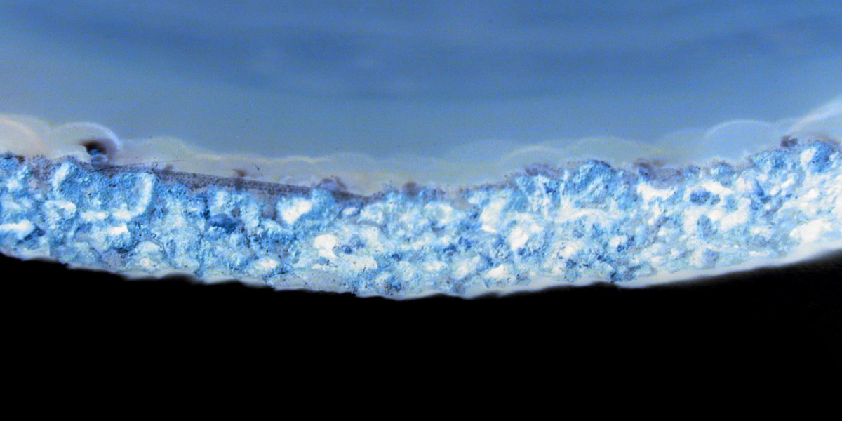 Skycrown online casino ⭐️ Legal Sky crown login australia site AU