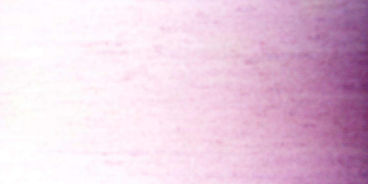 Royal Reels Casino: Top Pokie Games & Live Casino Action