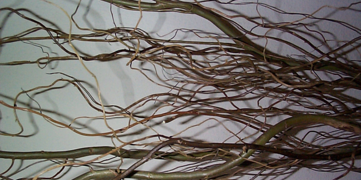 Win Spirit 2025 Review, Rating and Bonus