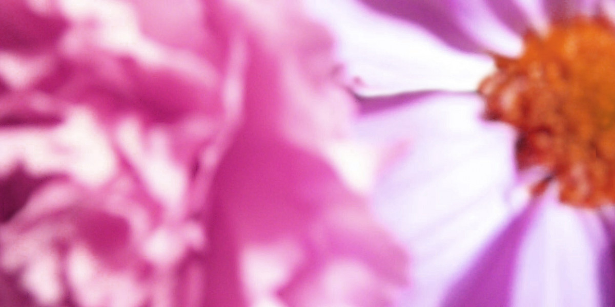 Real Money Pokies & VIP Rewards