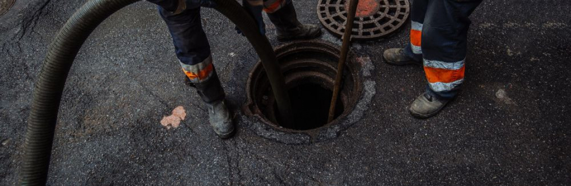 Spolbilarna Cover Image