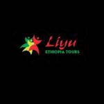 Liyu Ethiopia Tours Profile Picture