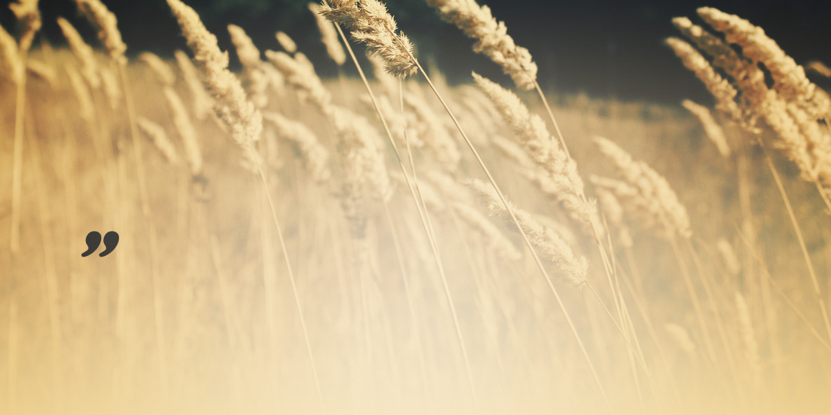 Why It is Best to Consider Buying Gold Now: A Strategic Investment For Unsure Occasions