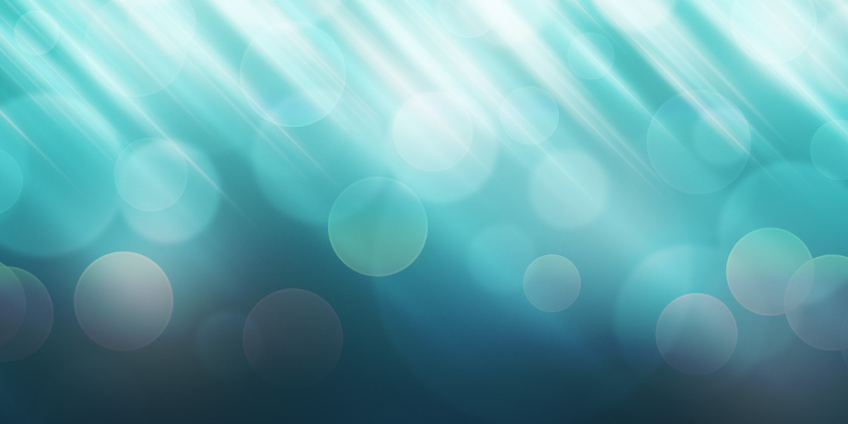 Case Examine: The Value of The Bombardier Global 8000